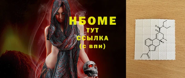 гидра Богородицк