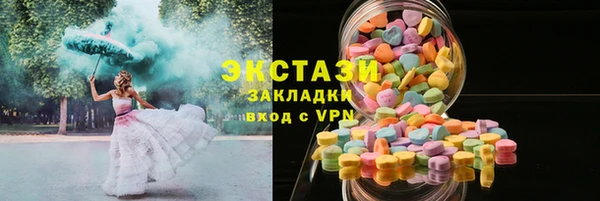 гидра Богородицк