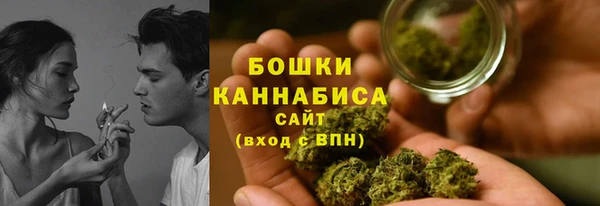 гидра Богородицк