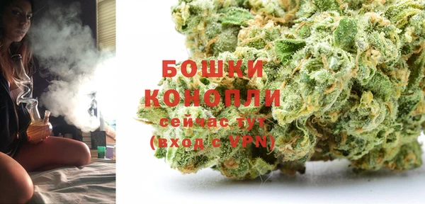 гидра Богородицк