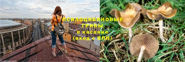 хмурый Богданович