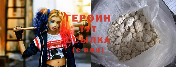 гидра Богородицк