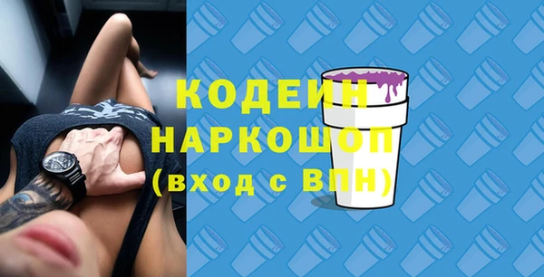 гидра Богородицк