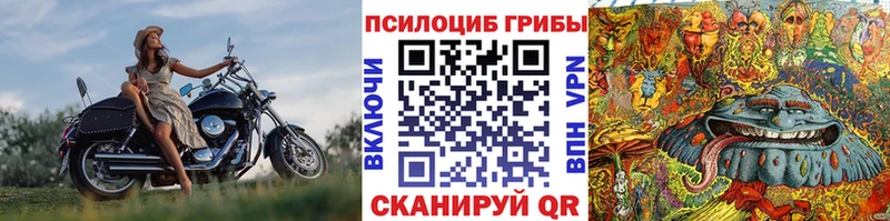 дарнет шоп  Нерчинск  Псилоцибиновые грибы мухоморы 